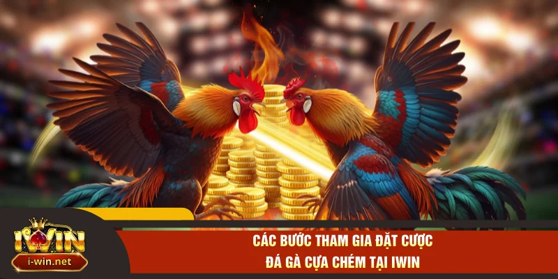 Các bước tham gia đặt cược đá gà cựa chém tại IWIN