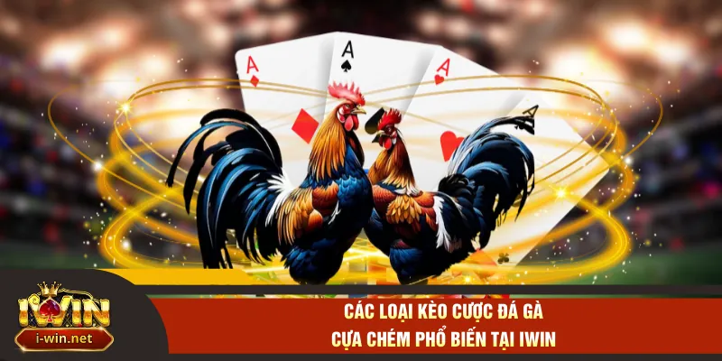Các loại kèo cược đá gà cựa chém phổ biến tại IWIN