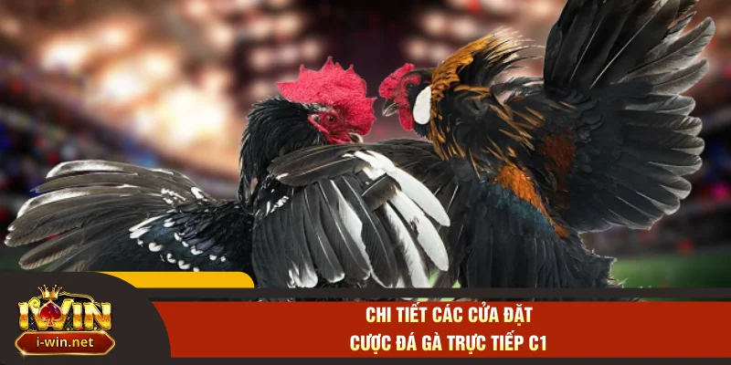 Chi tiết các cửa đặt cược đá gà trực tiếp C1