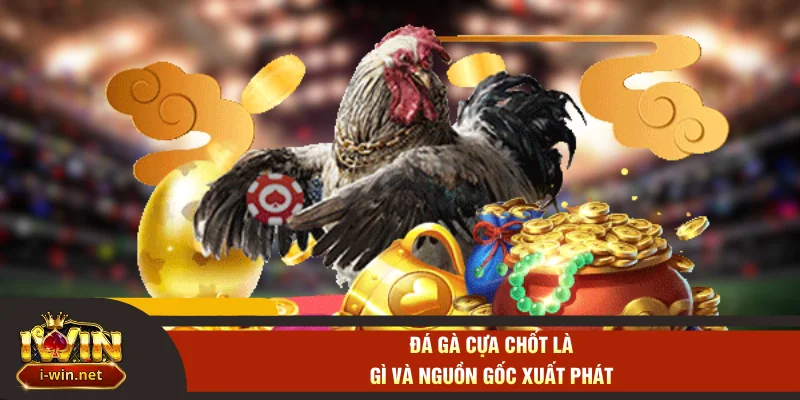 Đá gà cựa chốt là gì và nguồn gốc xuất phát