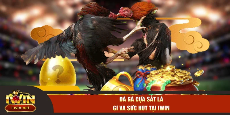 Đá gà cựa sắt là gì và sức hút tại IWIN