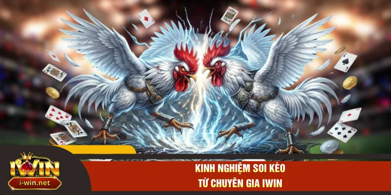 Kinh nghiệm soi kèo từ chuyên gia IWIN