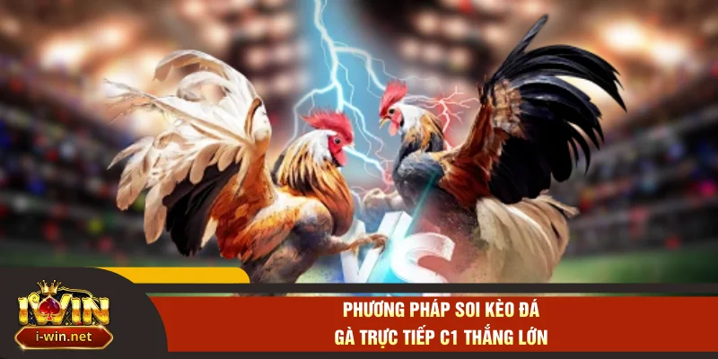 Phương pháp soi kèo đá gà trực tiếp C1 thắng lớn