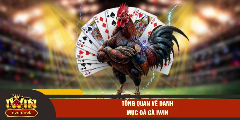 Tổng quan về danh mục đá gà IWIN
